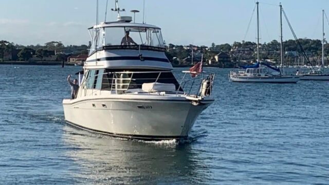 Amber party boat Sydney Harbour