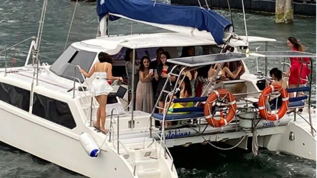 Delphinus party boat