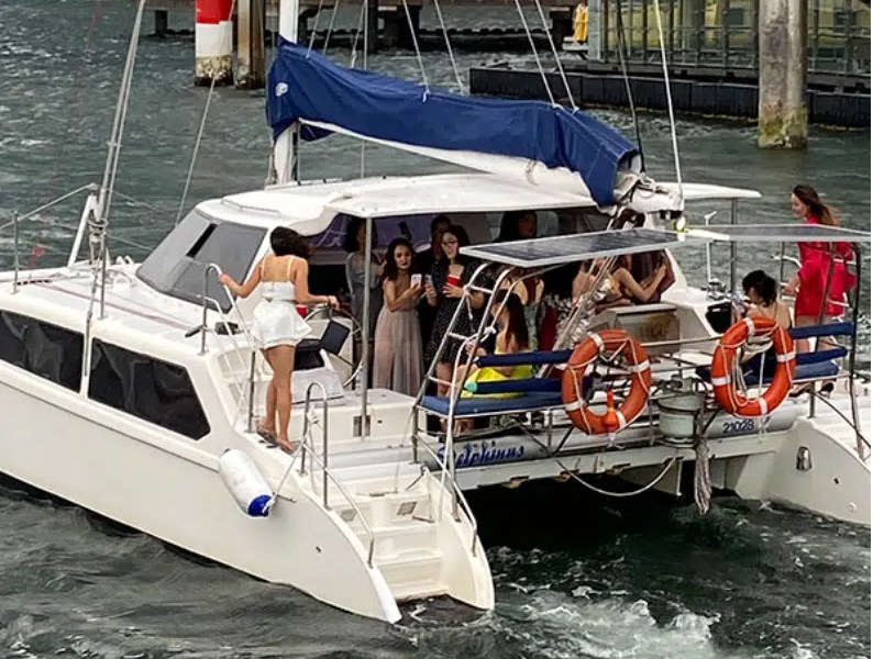 Delphinus party boat