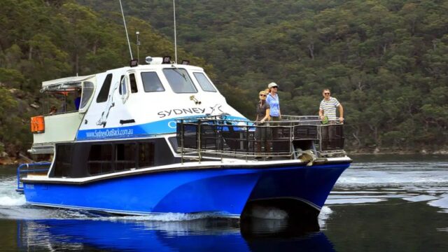 Freedom Cat party boat