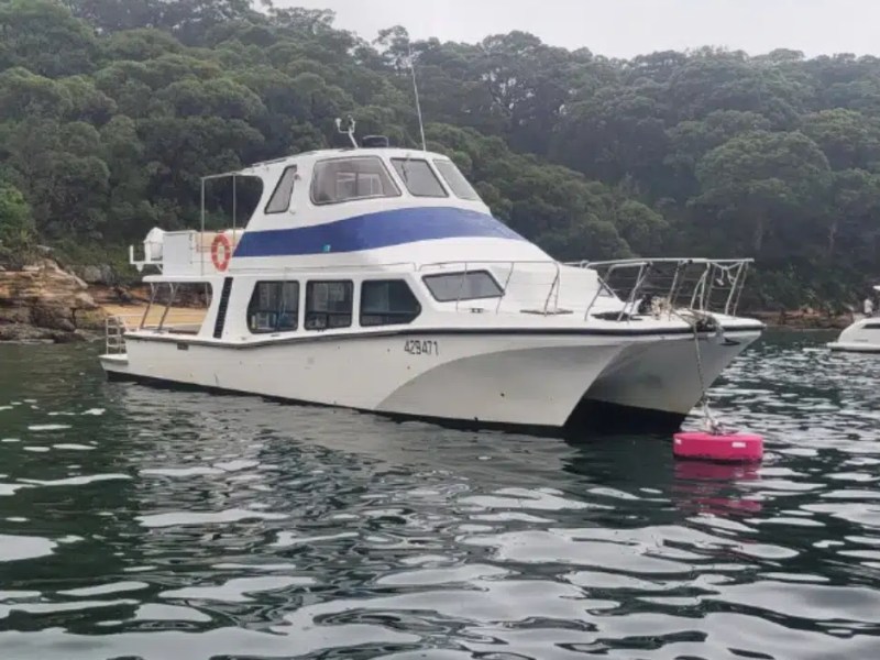 Mascot party boat