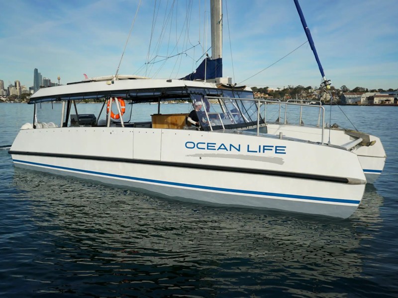 Ocean Life party boat