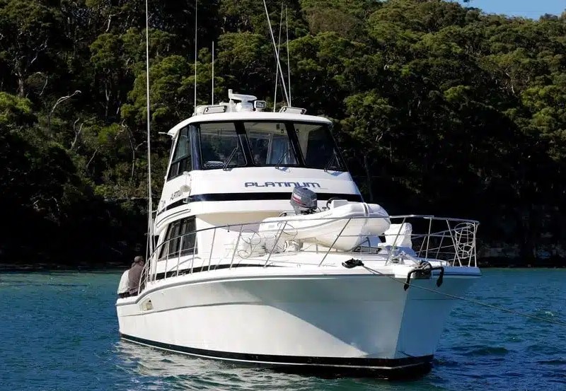 Platinum party boat