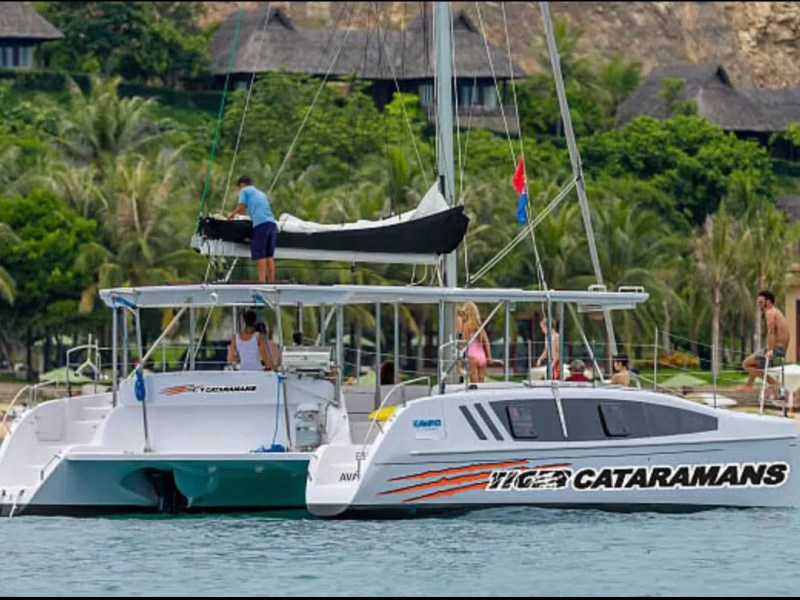 Tiger 3 party boat